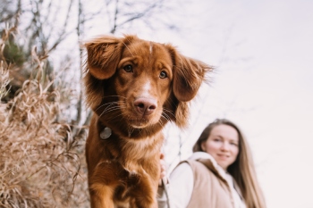 Pet-Friendly Cabins