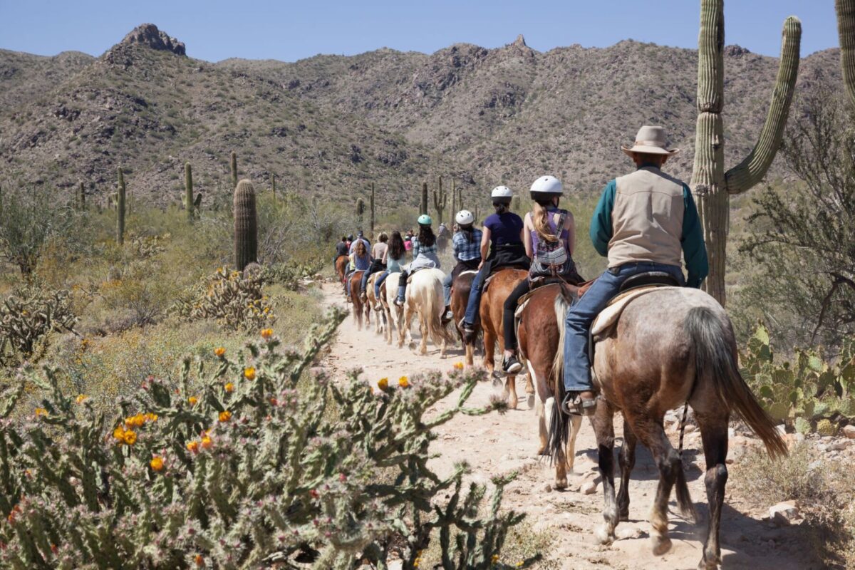 group of trail riders in Ruidoso New Mexico