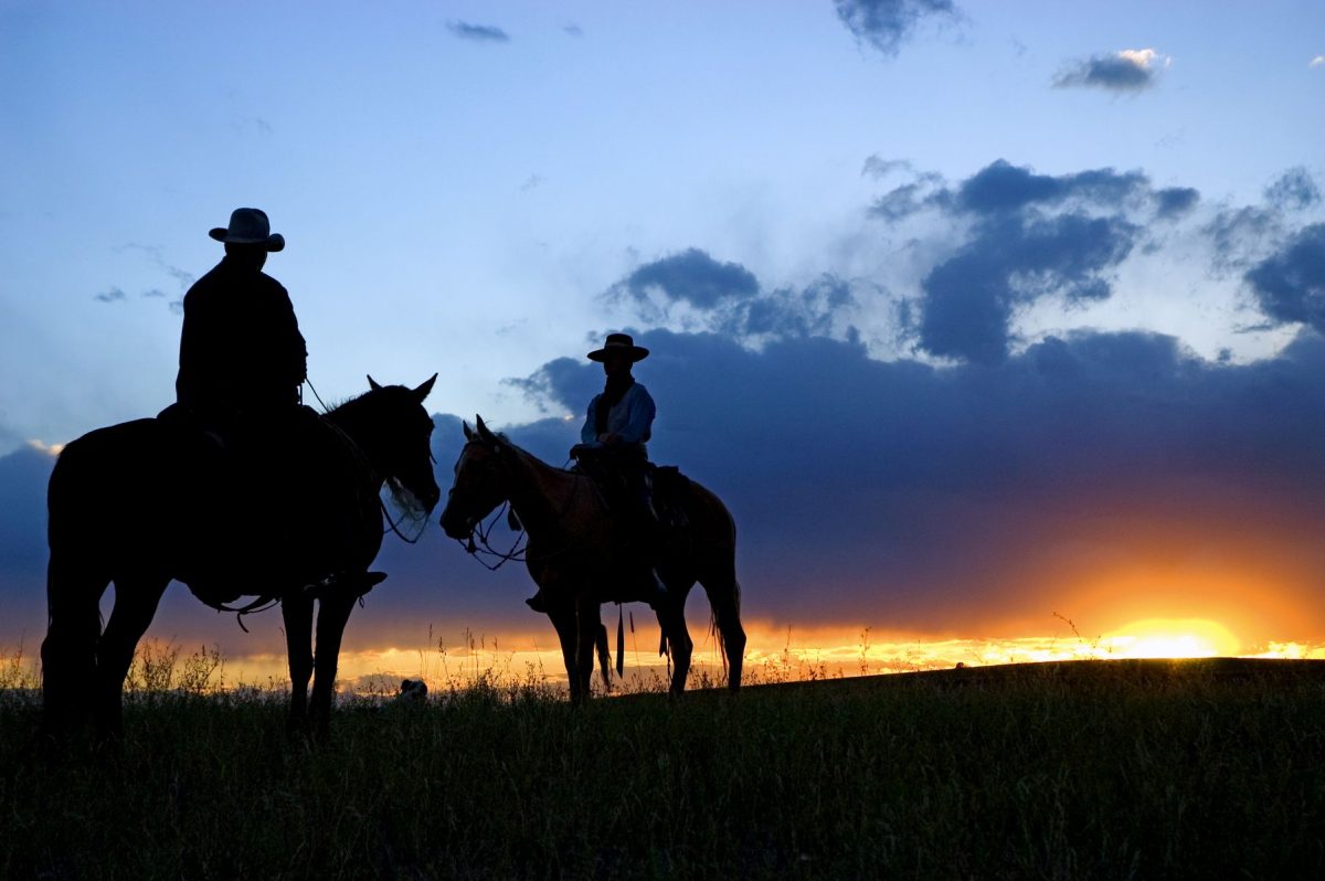 new mexico history