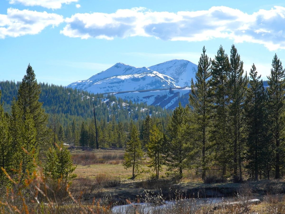 Sierra Blanc mountain range in southern, NM