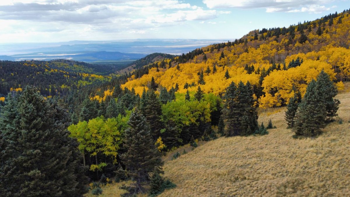 view of autumn hiking trail